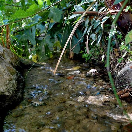Ecoalbergue Rural De 알고도날레스 외부 사진