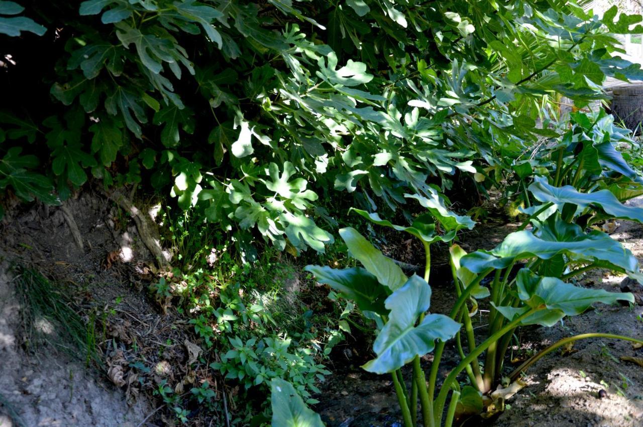 Ecoalbergue Rural De 알고도날레스 외부 사진