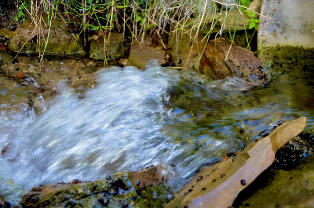 Ecoalbergue Rural De 알고도날레스 외부 사진