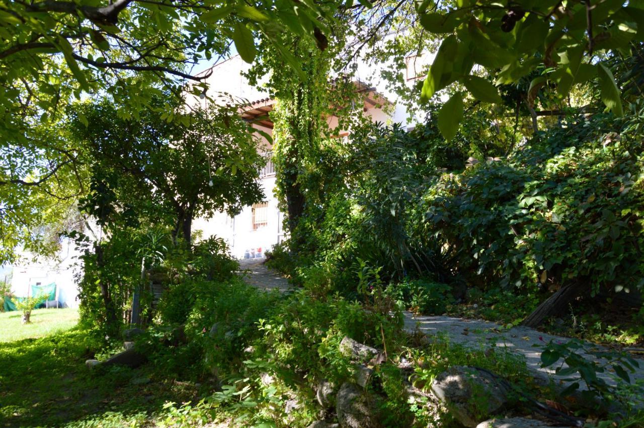 Ecoalbergue Rural De 알고도날레스 외부 사진